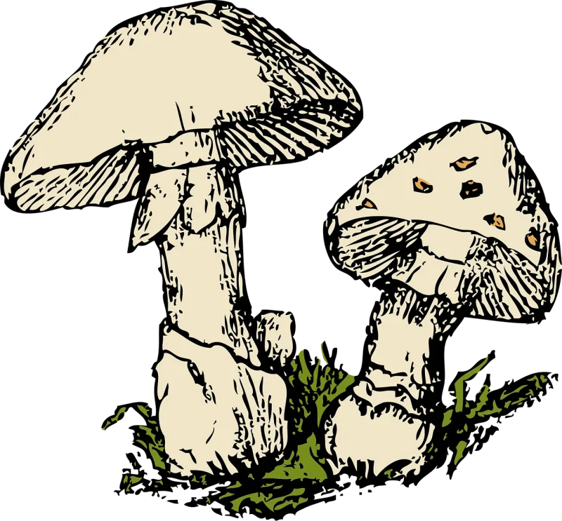 Mushrooms Two Beige Stickdatei – Natur