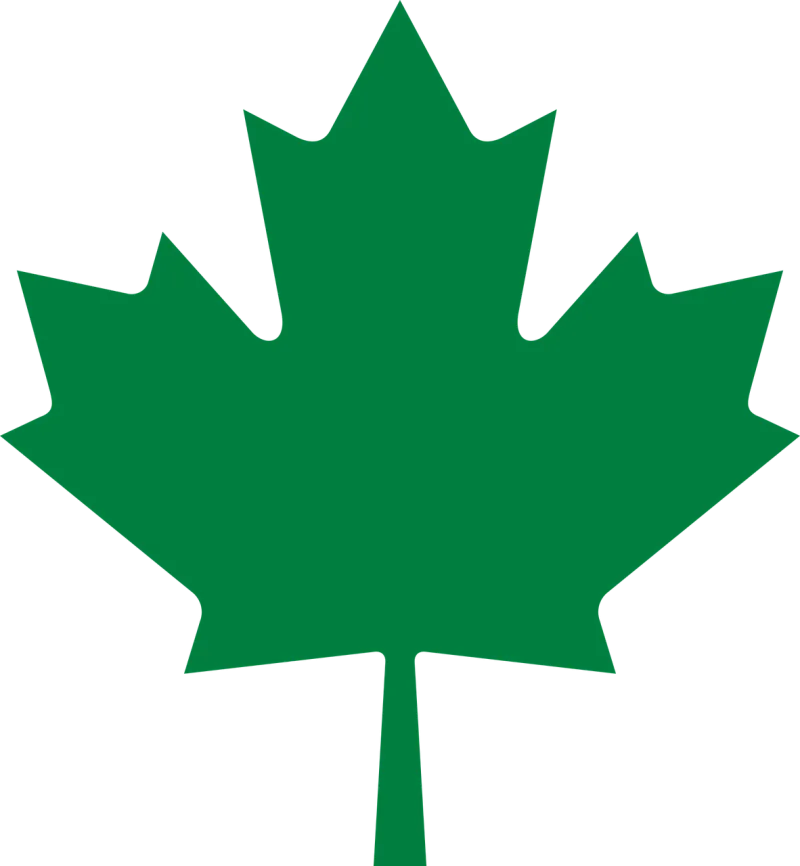 Leaf Maple Green Stickdatei – Natur