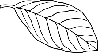 Leaf White Nature Stickdatei