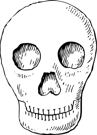 Skull Pirate Head Stickdatei