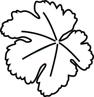Leaf Wine Veins Stickdatei
