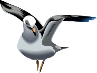 Seagull Bird Wings Stickdatei