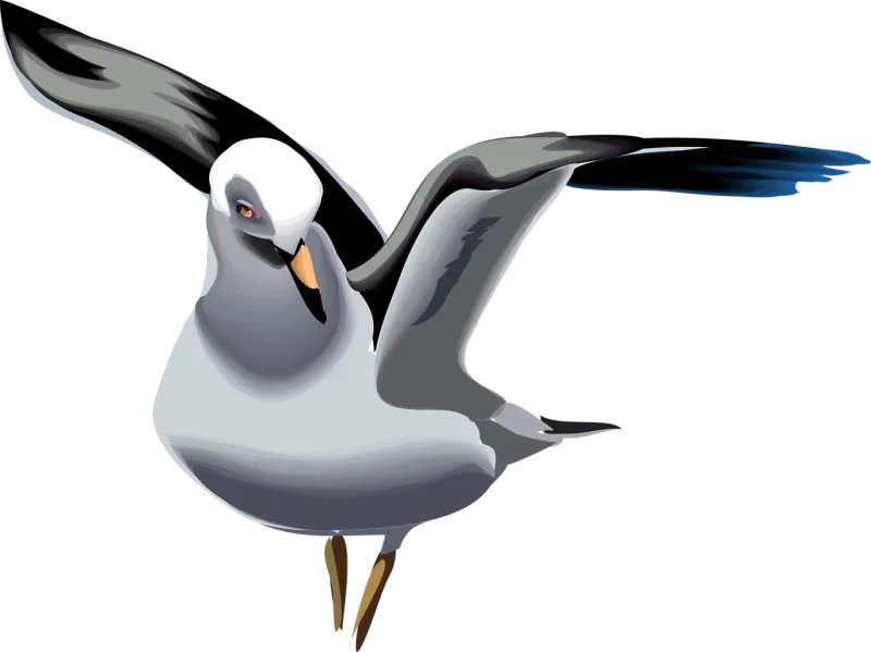 Seagull Bird Wings Stickdatei – Tiere