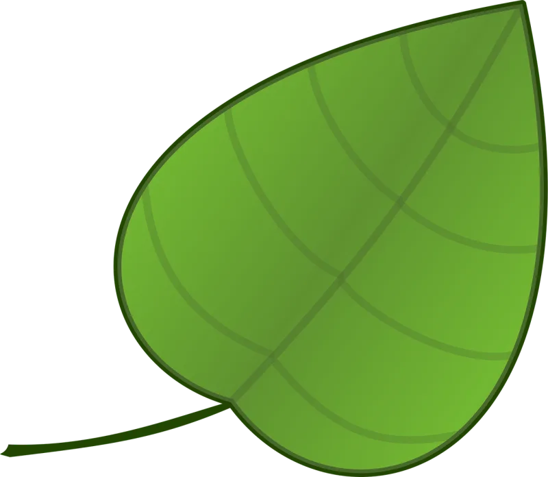 Leaf Veins Nerves Stickdatei – Natur