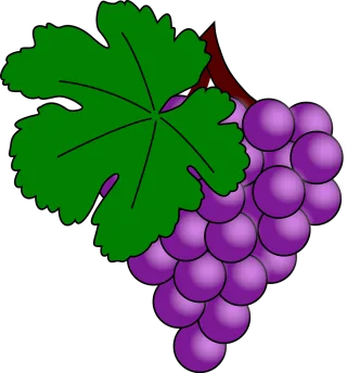 Grapes Fruit Purple Stickdatei