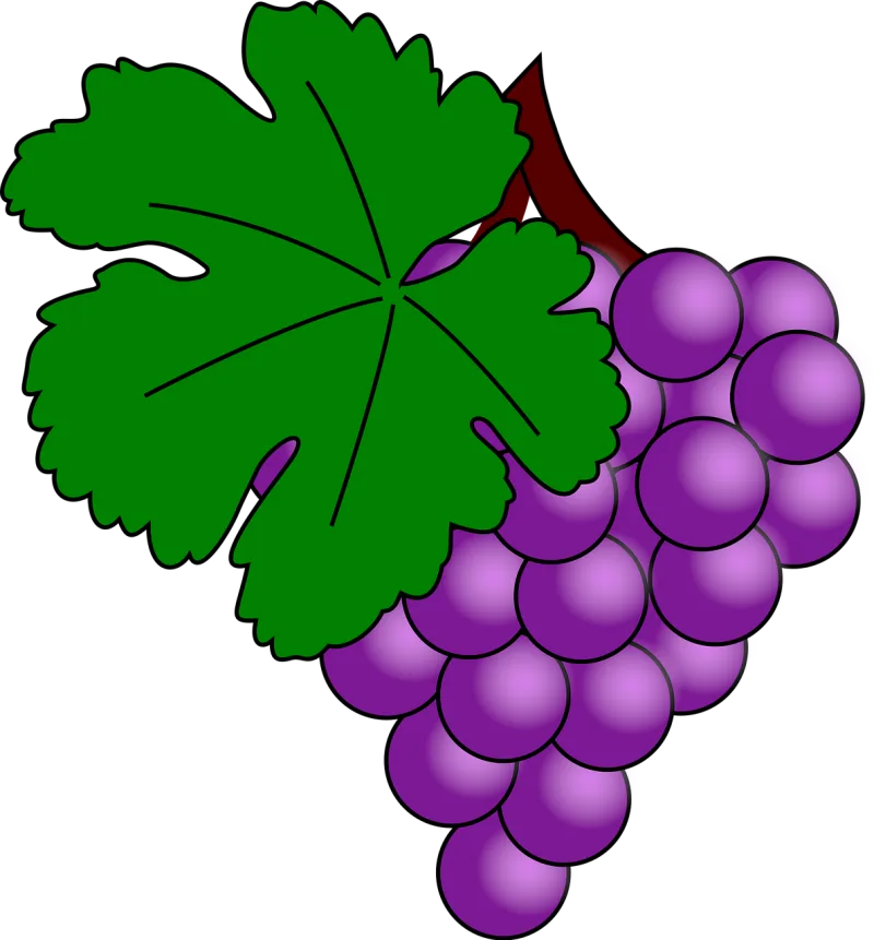 Grapes Fruit Purple Stickdatei – Essen & Trinken