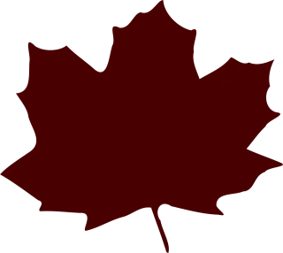 Leaf Maple Nature Stickdatei