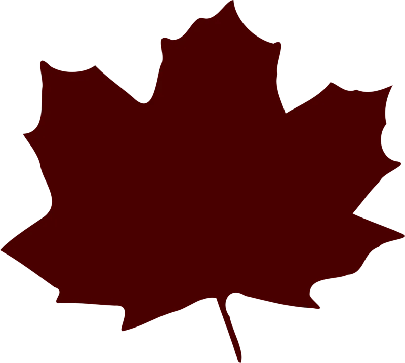 Leaf Maple Nature Stickdatei – Natur