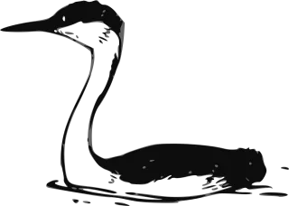 Bird Water Swimming Stickdatei