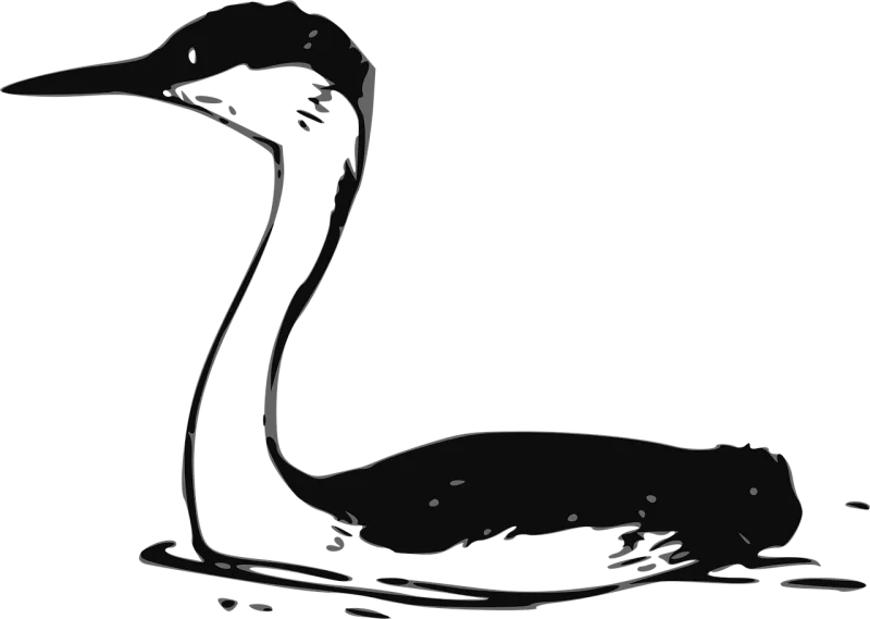 Bird Water Swimming Stickdatei – Sport