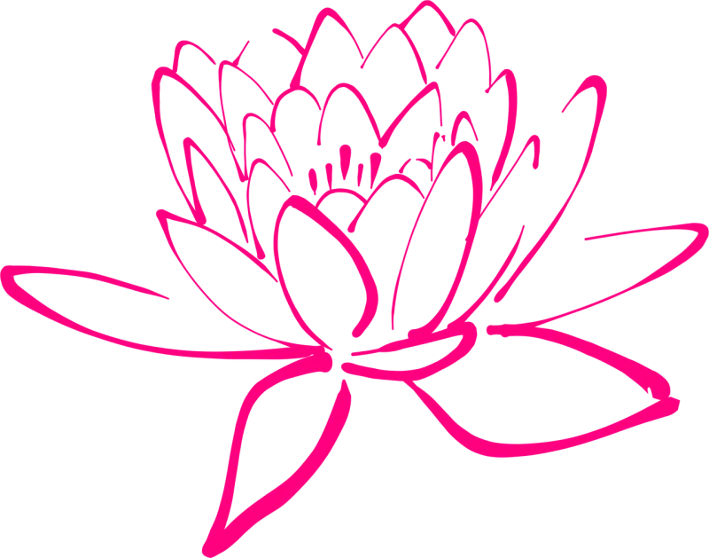 Flower Flower background Pink Stickdatei – Blumen