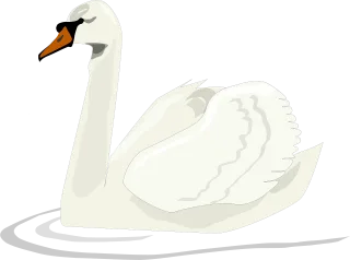 Swan Bird Swimming Stickdatei
