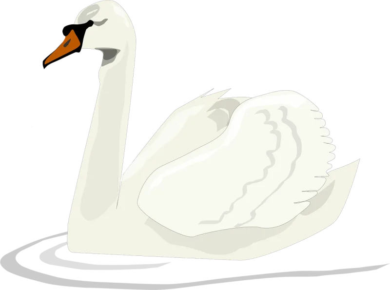 Swan Bird Swimming Stickdatei – Sport