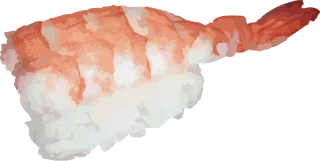 Japanese Sushi Asian Stickdatei