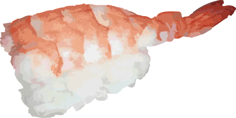 Japanese Sushi Asian Stickdatei – Essen & Trinken