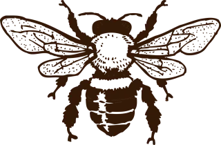 Bee Wings Insect Stickdatei