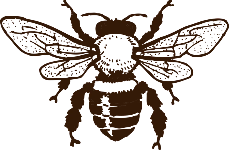 Bee Wings Insect Stickdatei – Tiere