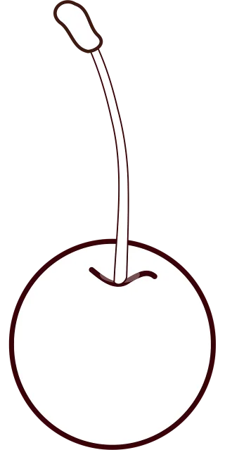 Cherry Fruit Fresh Stickdatei – Essen & Trinken