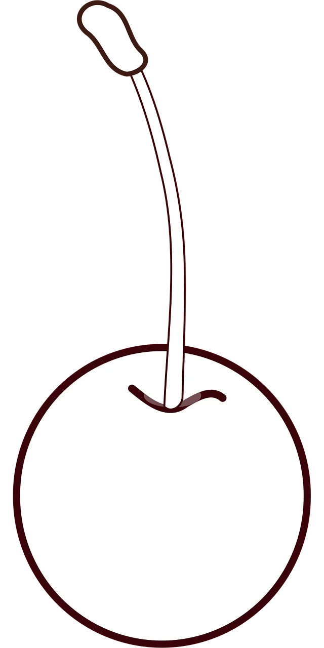 Cherry Fruit Fresh Stickdatei – Essen & Trinken
