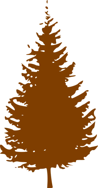 Tree Conifer Brown Stickdatei