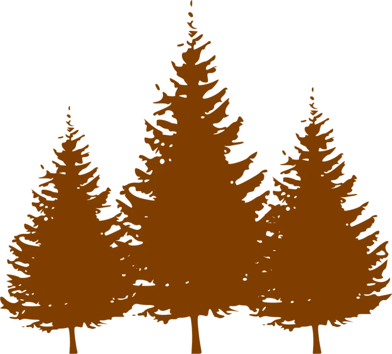 Trees Conifers Brown Stickdatei – Weihnachten