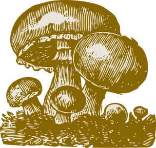 Mushroom Nature Forest Stickdatei
