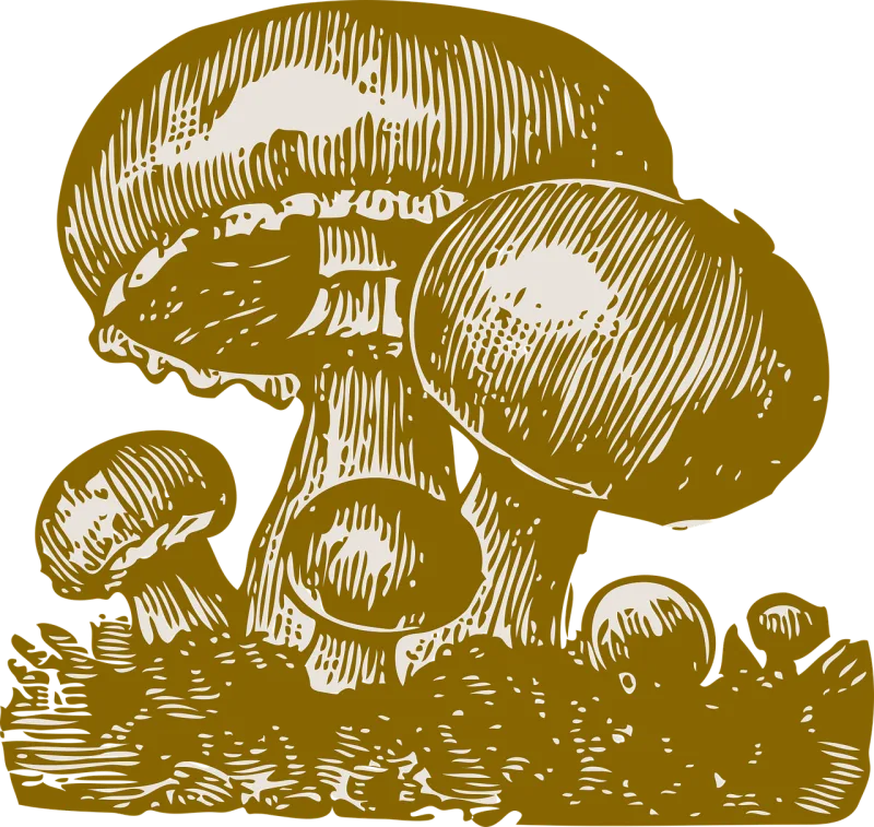 Mushroom Nature Forest Stickdatei – Natur