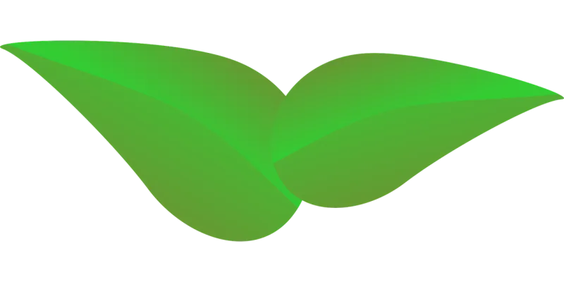Leaves Leaf Plants Stickdatei – Natur