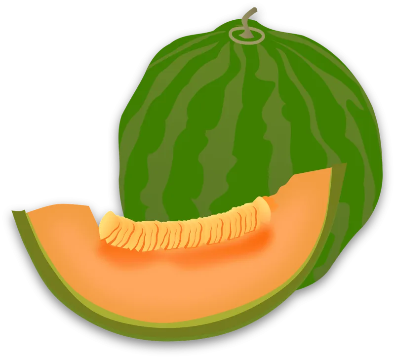 Watermelon Ripe Slice Stickdatei – Essen & Trinken