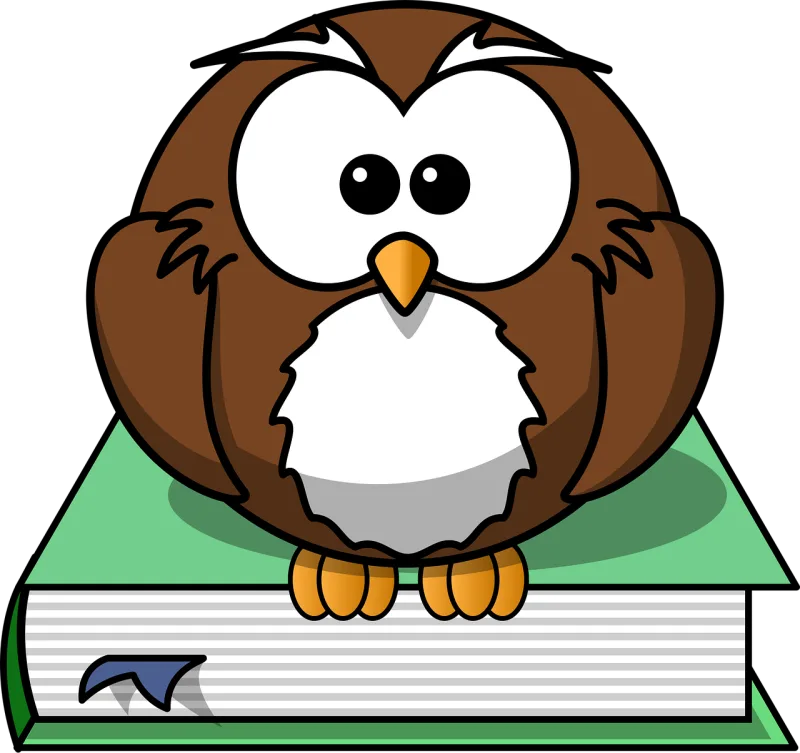 Book Owl Wisdom Stickdatei – Tiere