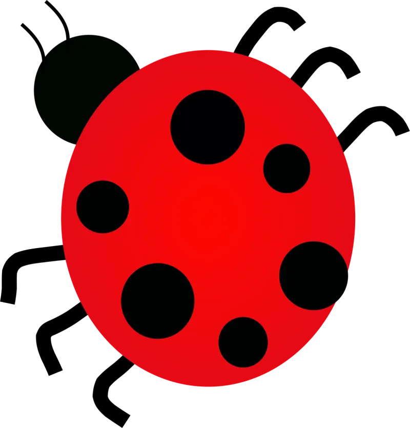 Ladybug Dots Insect Stickdatei – Tiere