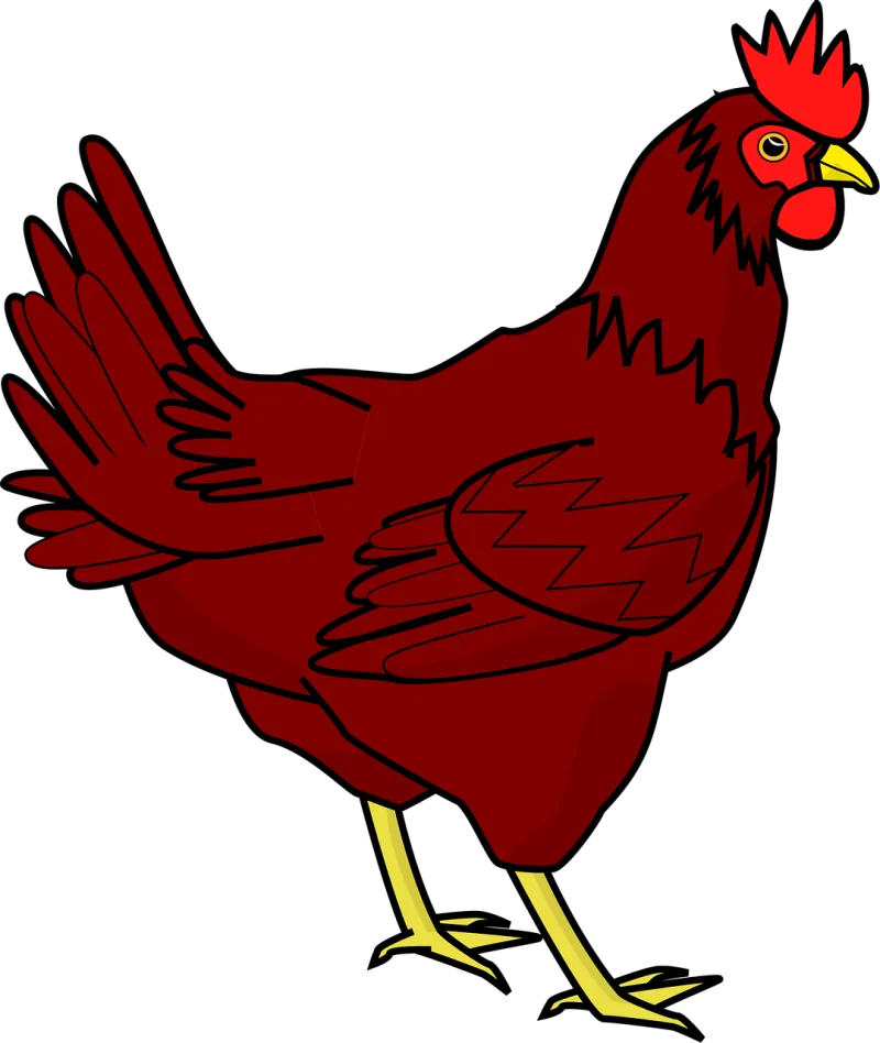 Chicken Nature Hen Stickdatei – Natur