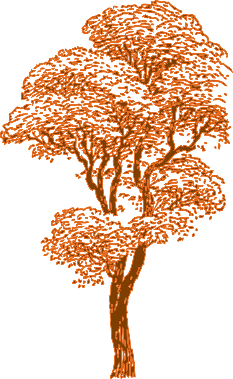 Tree Huge Birch Stickdatei – Natur