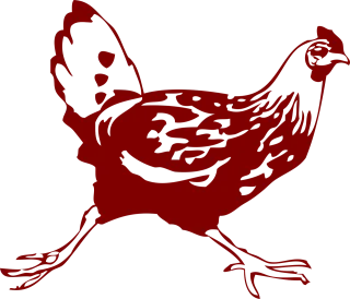 Chicken Hen Running Stickdatei