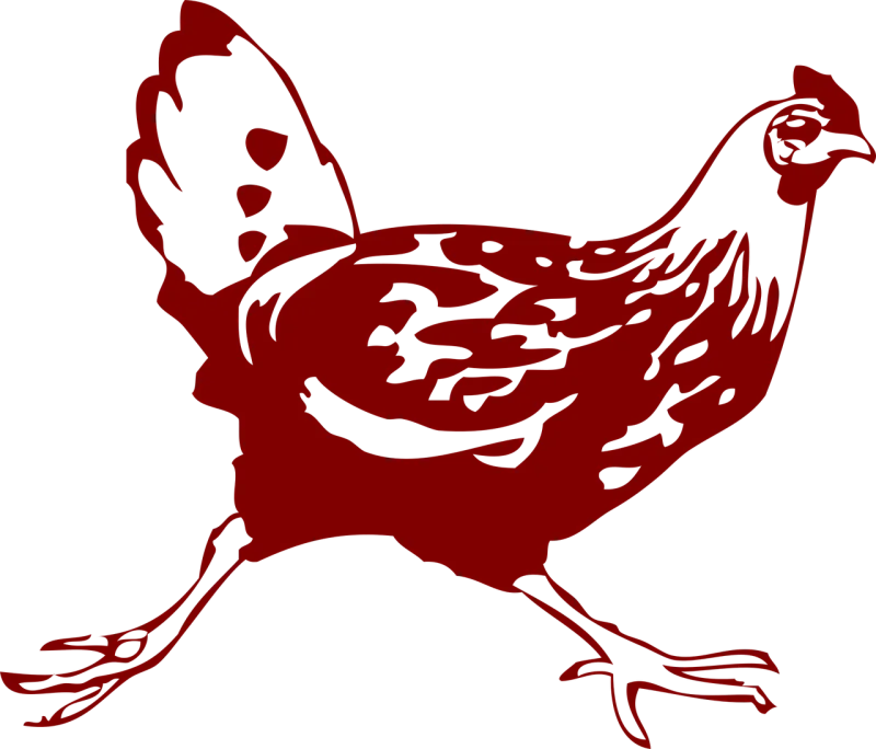 Chicken Hen Running Stickdatei – Sport