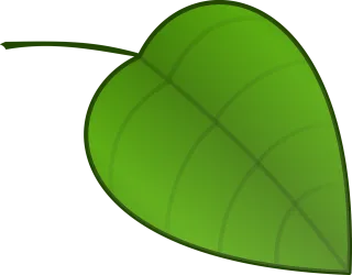 Leaf Nature Nerves Stickdatei