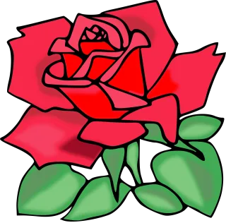 Rose Flower background Rose flower Stickdatei