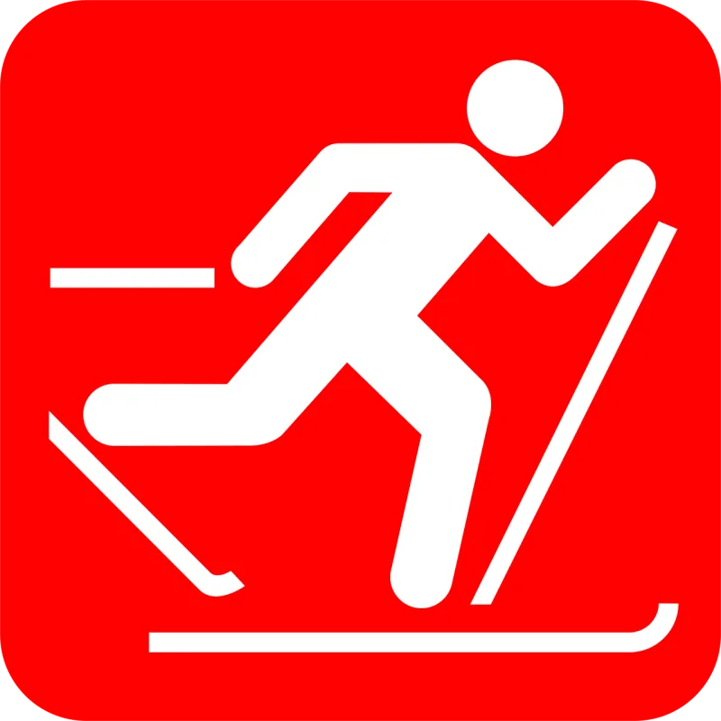 Skier Sports Activity Stickdatei – Sport