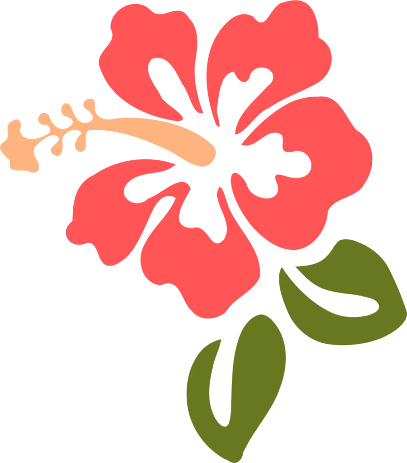 Hibiscus Flower Beautiful flowers Stickdatei – Blumen