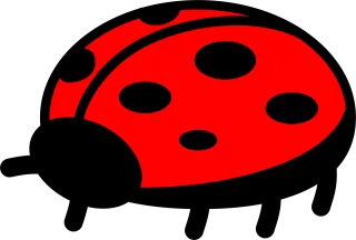 Ladybug Bug Flying Stickdatei