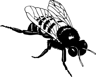 Honey Bee Stripes Stickdatei