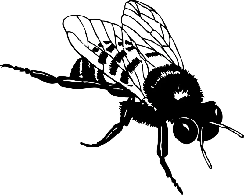 Honey Bee Stripes Stickdatei – Tiere