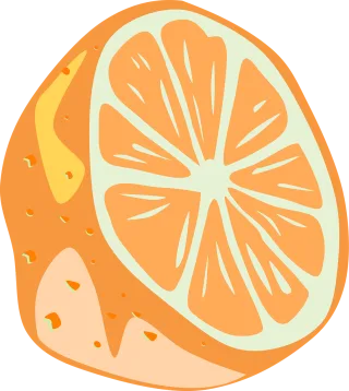 Orange Half Slice Stickdatei