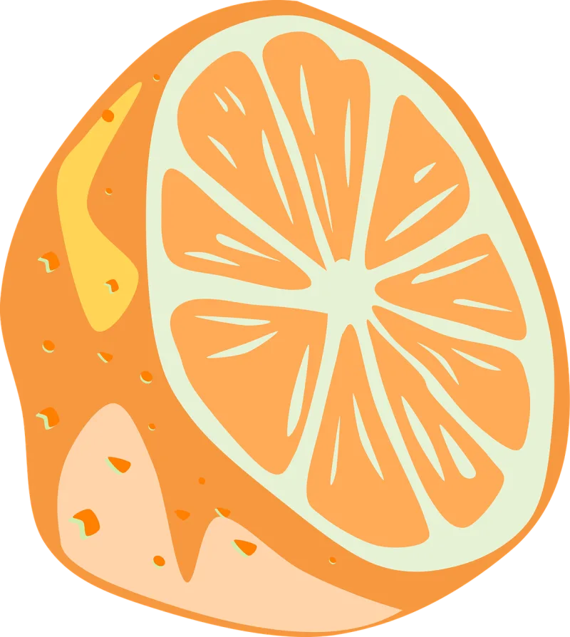 Orange Half Slice Stickdatei – Essen & Trinken