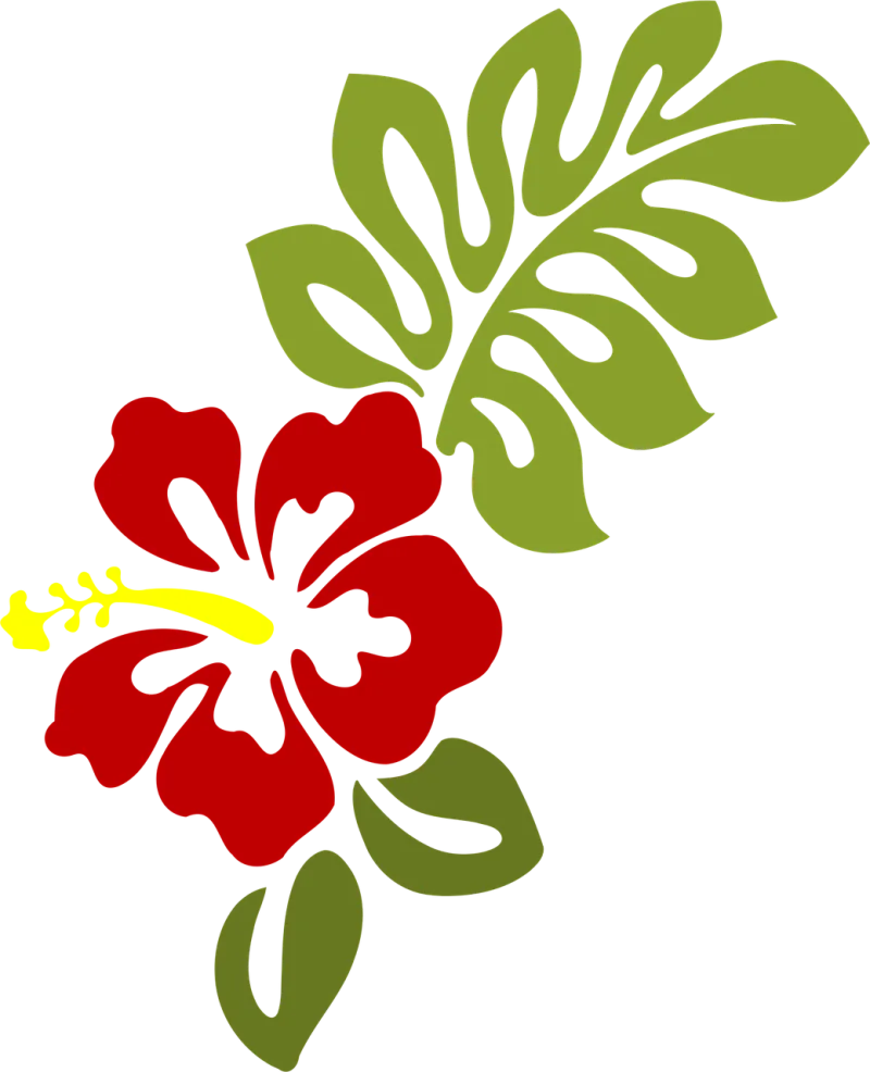 Hibiscus Blossom Leaf Stickdatei – Blumen