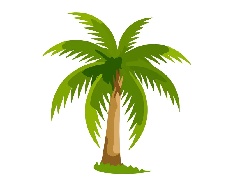 Palm Tree Green Stickdatei – Natur