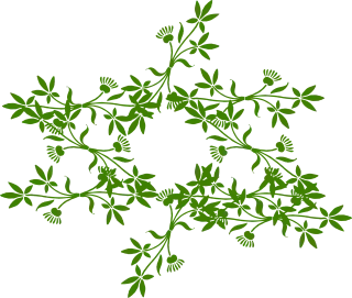 Floral Nature Ornament Stickdatei