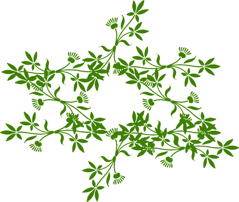 Floral Nature Ornament Stickdatei – Blumen
