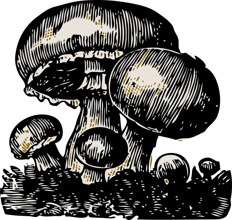 Mushroom Vegetable Big Stickdatei – Natur