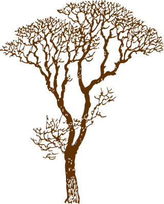 Tree Bare Ecology Stickdatei